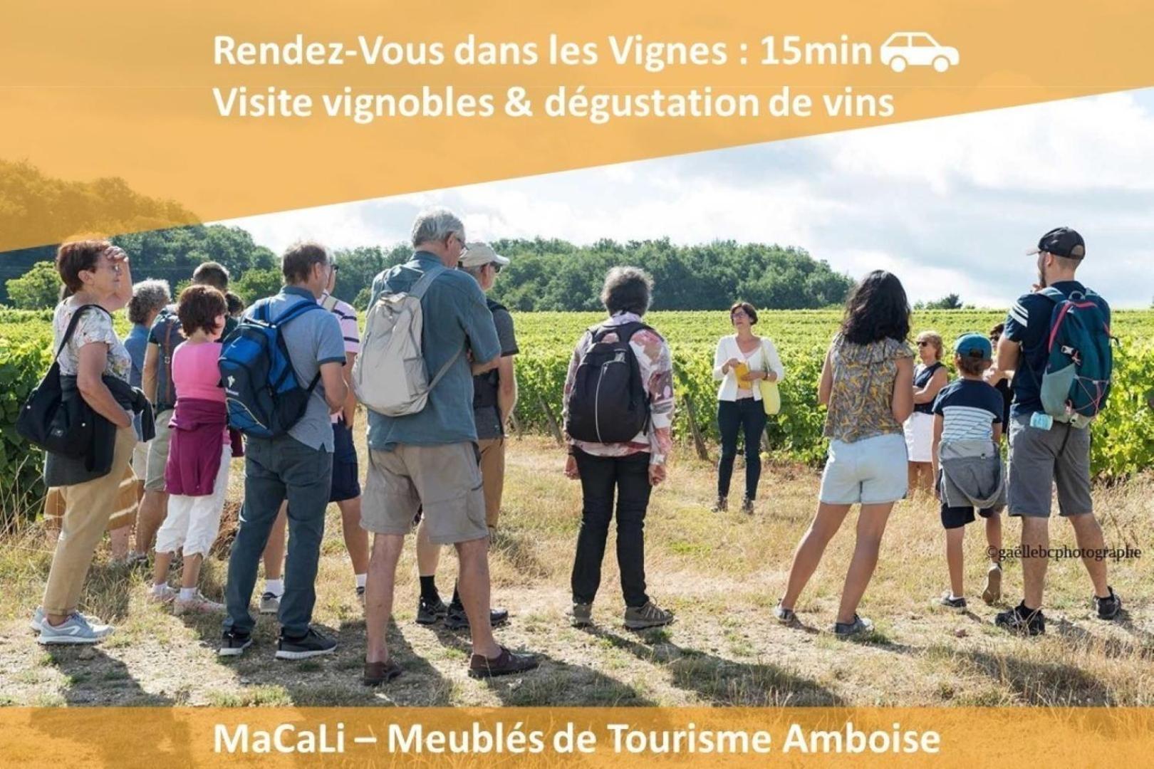 De Vitruve