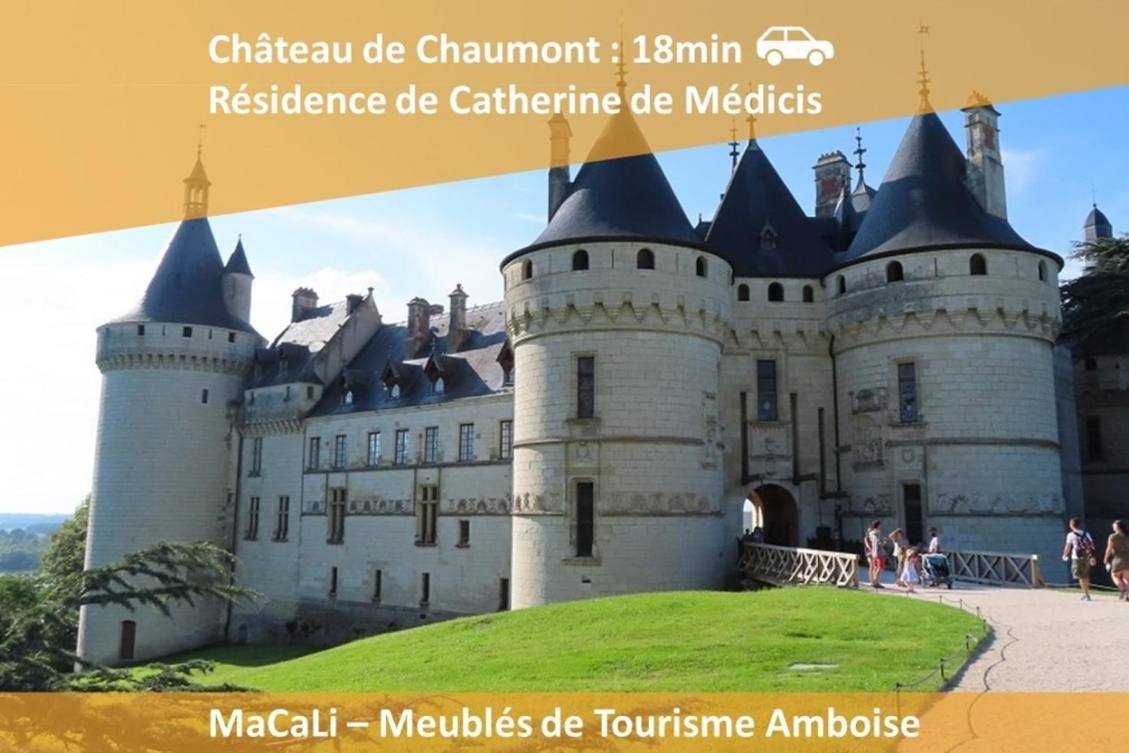 De Vitruve Amboise